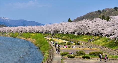 仙北市 デリヘル|仙北エリアで人気のデリヘル・風俗嬢を探す